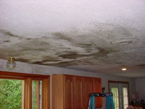 water damaged cieling